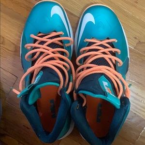 Lebron dolphins